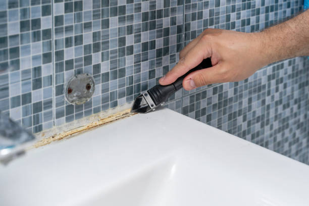 Best Black Mold Remediation in Mountain Lake, MN