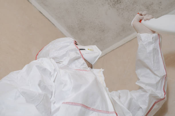 Best Mold Testing and Inspection Services in Mountain Lake, MN